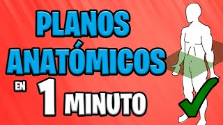 ✅ PLANOS ANATÓMICOS en 1 MINUTO 😱 [upl. by Guttery]