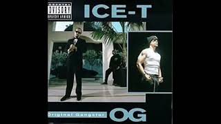 Ice T  Original Gangster Full Album [upl. by Llevert]