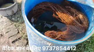 how to prepare lime mortar for Vedic lime construction sustainable house [upl. by Norvil]