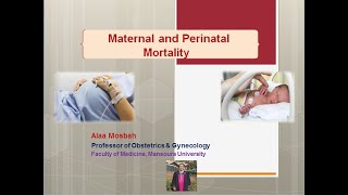 Maternal and Perinatal Mortality [upl. by Bivins]