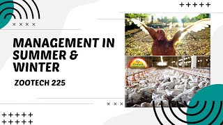 POULTRY 1  Management During Summer and Winter  Module 14 Student Output [upl. by Ertemed]