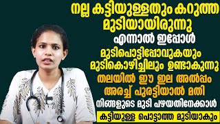 മുടി കൊഴിച്ചിൽ മാറാനും ഉള്ള മുടി കട്ടിയുള്ളതും കറുത്തതുമാവാൻ ഈ ഇല അരച്ച് തലയിൽ തേച്ചാൽ മതി [upl. by Neelrihs]