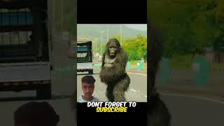 This gorilla 1000 IQ 🦍shorts shortvideo shots song comedy subscribe [upl. by Bat146]