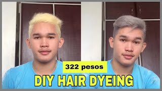 DIY  ASH GREY HAIR COLOR AT HOME MADALI LANG  Stephen Benihagan [upl. by Anu]