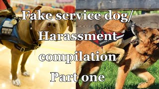 Fake Service dog and harassment compilation part 1 [upl. by Canice]