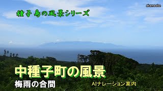 種子島の風景シリーズ：梅雨の合間の中種子町の風景 令和6年7月2日 AIナレーション案内 [upl. by Arlo482]