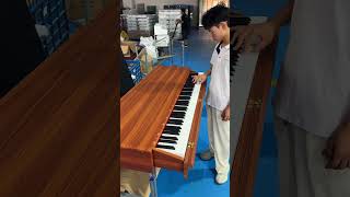 A costeffective electric piano [upl. by Rebel]