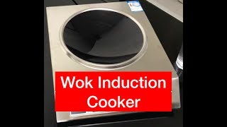 Wok induction cooker [upl. by Maggie]