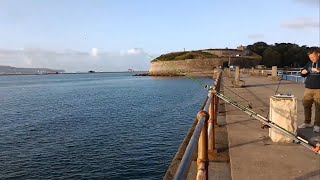 LRF Mini Species Hunt Weymouth Stone Pier  Chesil beach Part 1 🎣 [upl. by Amilb913]