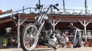 2008 Harley Davidson Softail Deluxe  Anniversary Edition [upl. by Siseneg]