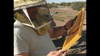 Craig Noorlander Winterizing Langstroth and Top Bar Hives [upl. by Alain]