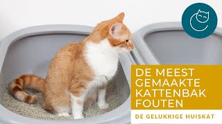 DE MEEST GEMAAKTE FOUTEN MET DE KATTENBAK [upl. by Tabitha104]