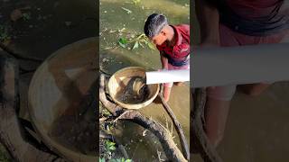 Traditional Pond Fishing With Village [upl. by Shiekh]