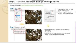 ImageJ manual  how to measure the length and angle from the image [upl. by Feodor]