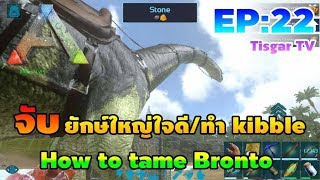 Ark Mobile EP22 จับยักษ์ใหญ่ใจดี Brontoทำ kibble Tisgar TV [upl. by Aleron]