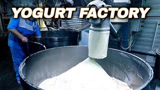 How Yogurt Is Made  Yogurt Production Line  Yogurt Factory [upl. by Mont]