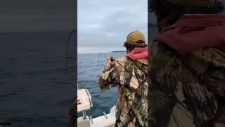 Bay of Islands Snapper on a slow jig bayofislands fishing slowjig boatlife rayglass [upl. by Eenert]