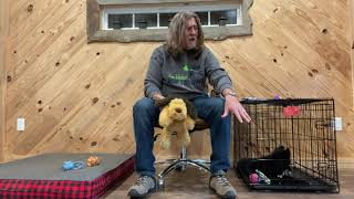 Jim Hodges Dog Training Puppy Dos and Donts  Puppy Play Biting [upl. by Lleinnad742]