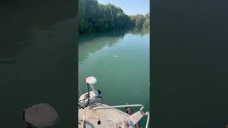 Tarpon on Fly in the Territory tarpon flyfishing fishing islandhopping [upl. by Ahsain]