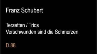 Schubert D88 Trio Verschwunden sind die Schmerzenwmv [upl. by Adon429]