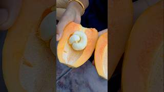 Amazing papaya fruit first time nenu papaya lopala Ila chudatamtrendingshorts papayaviral [upl. by Gans]