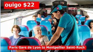 Ride the TGV HighSpeed Train from Paris to Montpellier for Only 22 with OUIGO  4K Experience [upl. by Peder]