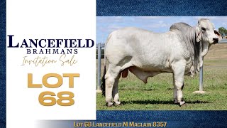 Lot 68 Lancefield M Maclain 8357 [upl. by Conner]