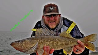 Pre spawn winter walleye fishing on the Columbia River 2019 [upl. by Gelman]