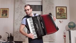 Despacito  Luis Fonsi Accordion Cover [upl. by Yoreel]