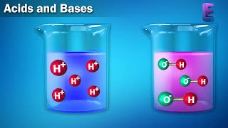 Acids and Bases  Chemical Equilibrium  CBSE  Class 11 Chemistry by Elearnin [upl. by Etac]