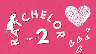 Ratchelor Season Two  To Choose the Right Rat [upl. by Aserret]