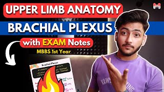 Upper Limb Anatomy  Brachial Plexus  MBBS 1st Year  Full Explanation With Exam Notes  MBBS World [upl. by Milore]