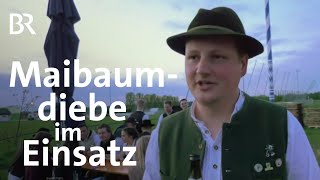 Maibaum stehlen Unterwegs mit den Maibaumdieben Herrsching  Zwischen Spessart und Karwendel  BR [upl. by Clemence881]