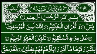 Surah Yaseen amp Surah Rahman beautiful recitation Ep 404  beautiful quran recitation best tilawat [upl. by Whang]