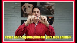 Posso abrir cápsula de remédio para dar para meu animal [upl. by Atilal]