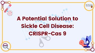 A Potential Solution to Sickle Cell Disease CRISPRCas 9 [upl. by Donelu699]