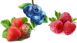 5 Of The Best Berries That Grow Well In Containers [upl. by Mosa926]