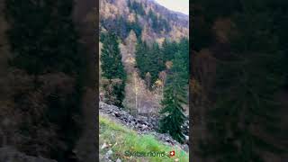 suisse mountains swiss nature bergen beautiful bergencounty [upl. by Vince]