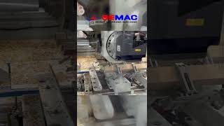 16 Axis 4 Spindles Mortise And Tenon Machine  KW T4X4 32S kingwoodmac tenon mortisingmachine [upl. by Led574]