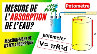 Mesure de labsorption de leau par une plante verte Expérience du potomètre [upl. by Legge442]