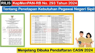 RILIS KepMenPANRB No 293 Tahun 2024 Tentang Penetapan Kebutuhan Pegawai Negeri Sipil Tahun 2024 [upl. by Maxi]