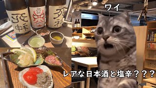 秋葉原で塩辛とレアな日本酒でキメたときの話。猫ミーム 猫マニ [upl. by Vivyanne]