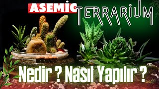 TERRARİUM NEDİR   TERRARİUM ECOSYTEM  ASEMİC TERRARİUMS [upl. by Lydie]