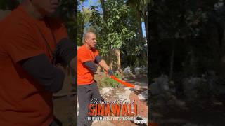 Sinawali 8 Redonda Twirling Strike Pattern How to Filipino Martial Arts double weapons FMA eskrima [upl. by Enibas]