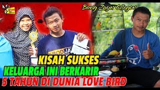 INSPIRATIF  Keluarga Ini Berkarir Di Dunia Love Bird Selama 5 Tahun Kisah Sedih Dan Senang Bersama [upl. by Eisen]