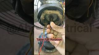 Table Fan electrical electrician fanrepair fan shorts [upl. by Egas]