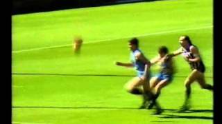 Sturt v Port Adelaide 1988  Football Park [upl. by Tsiuqram755]