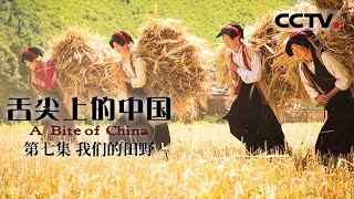 【粤语版】《舌尖上的中國》第一季 A Bite of China EP7 我們的田野【CCTV紀錄】 [upl. by Reg671]