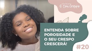 Entenda sobre Porosidade e Destrave o Crescimento do seu Crespo  ep20 [upl. by Amorette772]