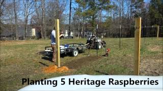 Part 2  Time Lapse  Building a muscadine  grape  raspberry  blackberry trellis [upl. by Noivad]